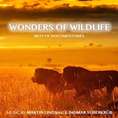 Wonder Of Wildlife - Best Of Documentaries